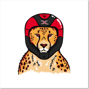 Cheetah wearing a helmet Posters and Art